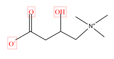 L-Carnitine Base